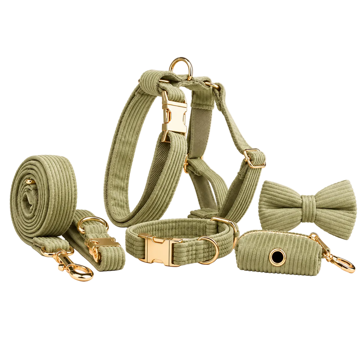 Kit complet de promenade pour chien en velours côtelé