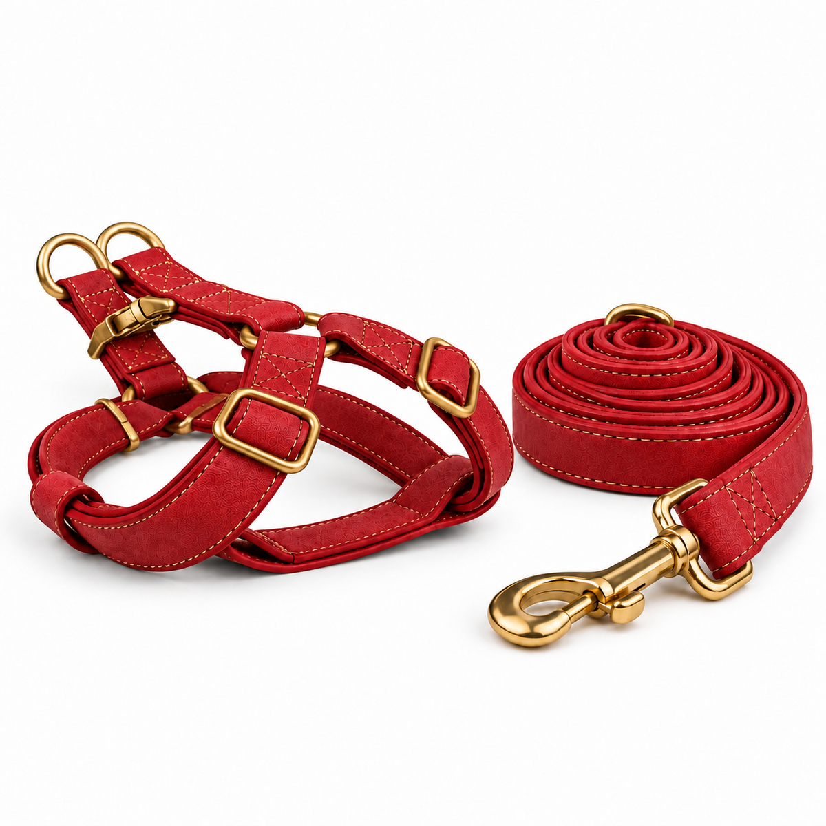 Kit harnais et laisse pour chien en simili cuir