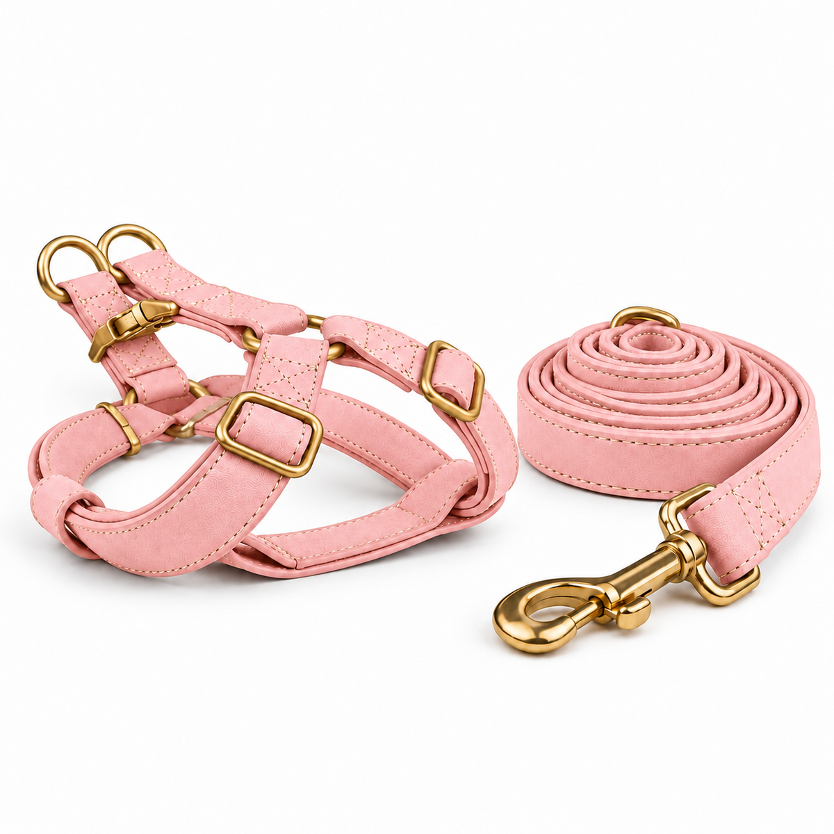 Kit harnais et laisse pour chien en simili cuir