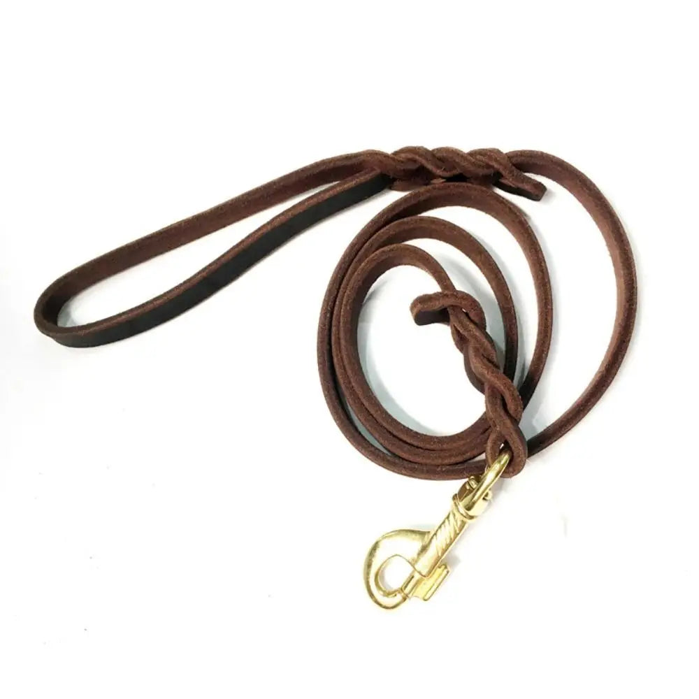 Laisse tressée en cuir pour chien marron