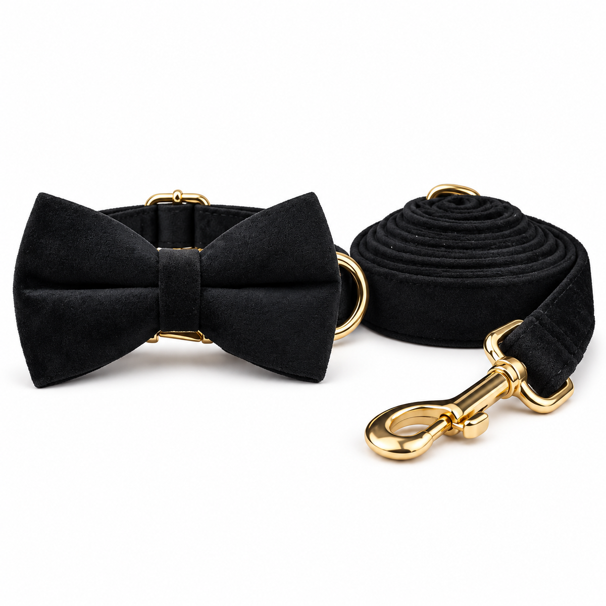Ensemble laisse et collier avec nœud pour chien noir, finitions dorées, sur fond blanc